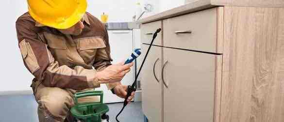 Eco Care Pest Control Photos Sinhagad Road Vadgaon Budruk Pune Eco Care Pest Control Photos Sinhagad Road Vadgaon Budruk Pune Residential