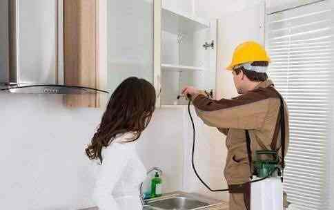 Eco Care Pest Control Sinhagad Road Vadgaon Budruk Residential Eco Care Pest Control Sinhagad Road Vadgaon Budruk Residential Services In Pune Justdial