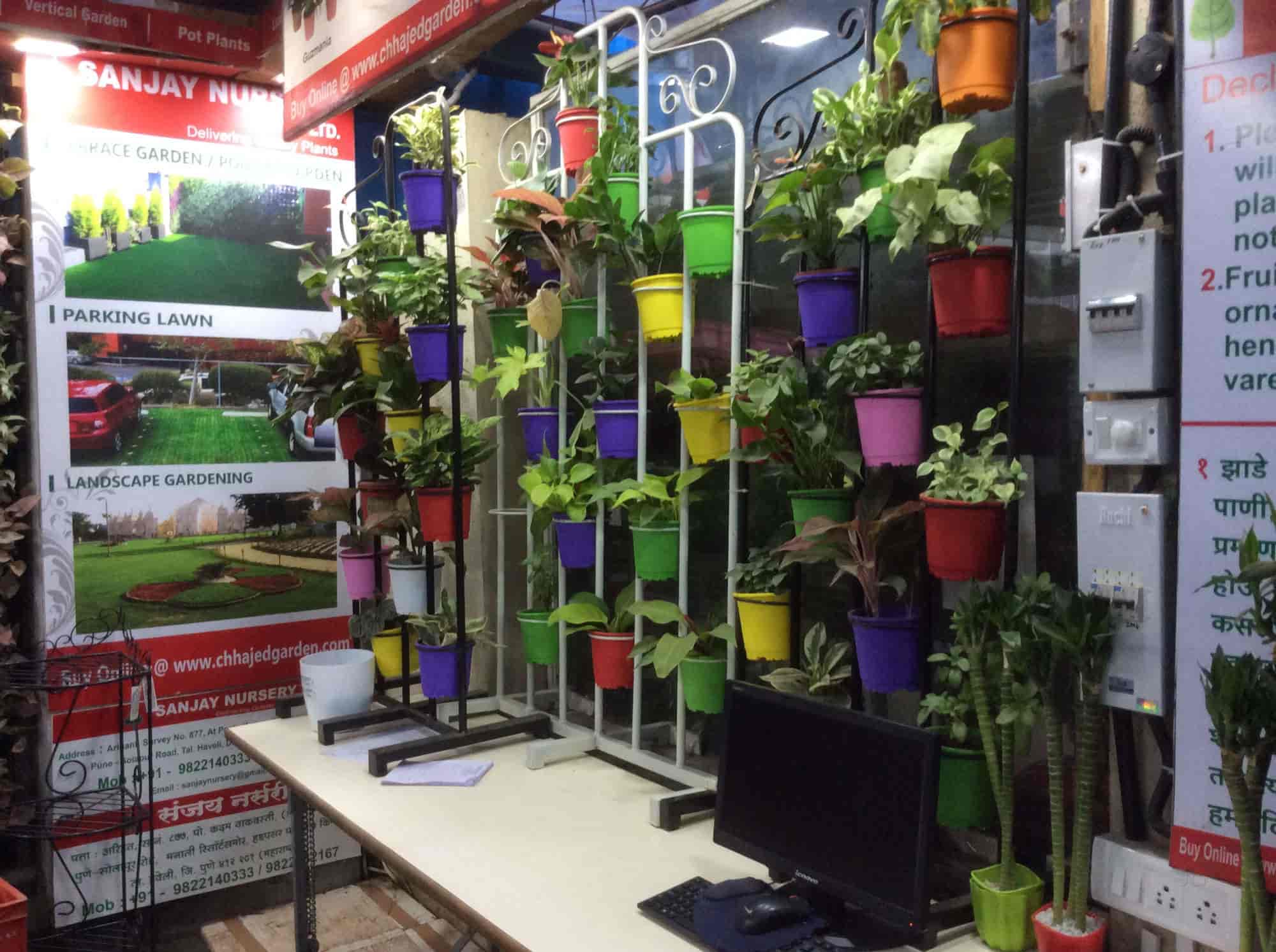 Sanjay Nursery Loni Kalbhor Sunjay Plant Nurseries In Sanjay Nursery Loni Kalbhor Sunjay Plant Nurseries In Pune Justdial