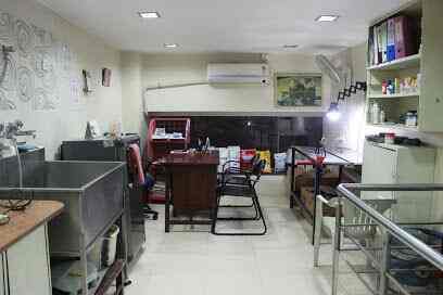 Dr Anjali Dave Petcetera Kondhwa Khurd Paediatricians In Pune Justdial