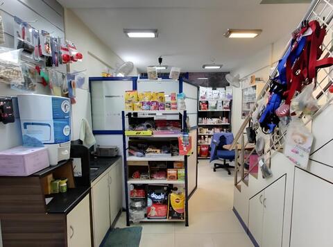 Dr Anjali Dave Petcetera Kondhwa Khurd Paediatricians In Pune Justdial