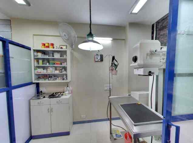 Dr Anjali Dave Petcetera Kondhwa Khurd Paediatricians In Pune Justdial