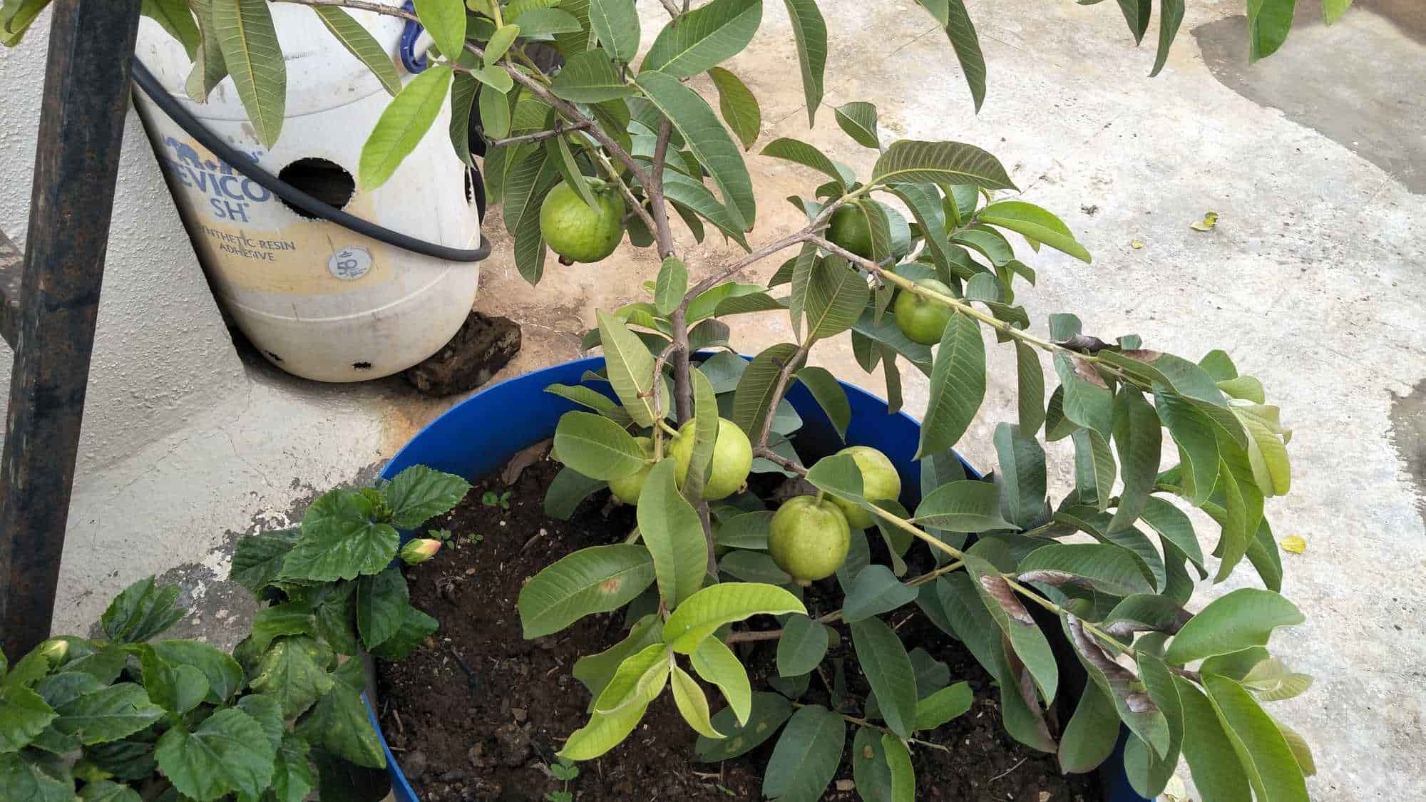 Vaishnavi Garden Contractor in Kondhwa Budruk,Pune - Best