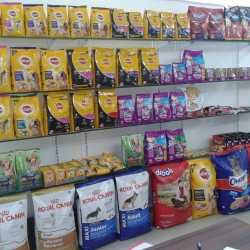 city mall pet shop