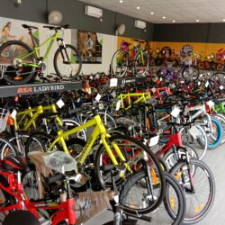 Trail, Manchar - Bicycle Dealers 