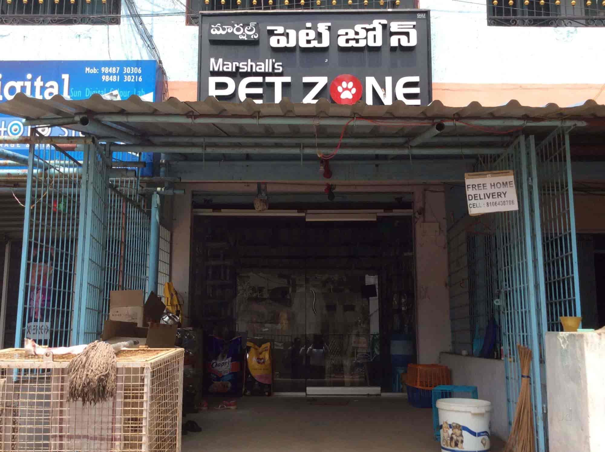 marshall pet zone online