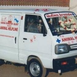 Animal Helpline Vavdi Rajkot Helplines For Birds Injury In Rajkot Justdial