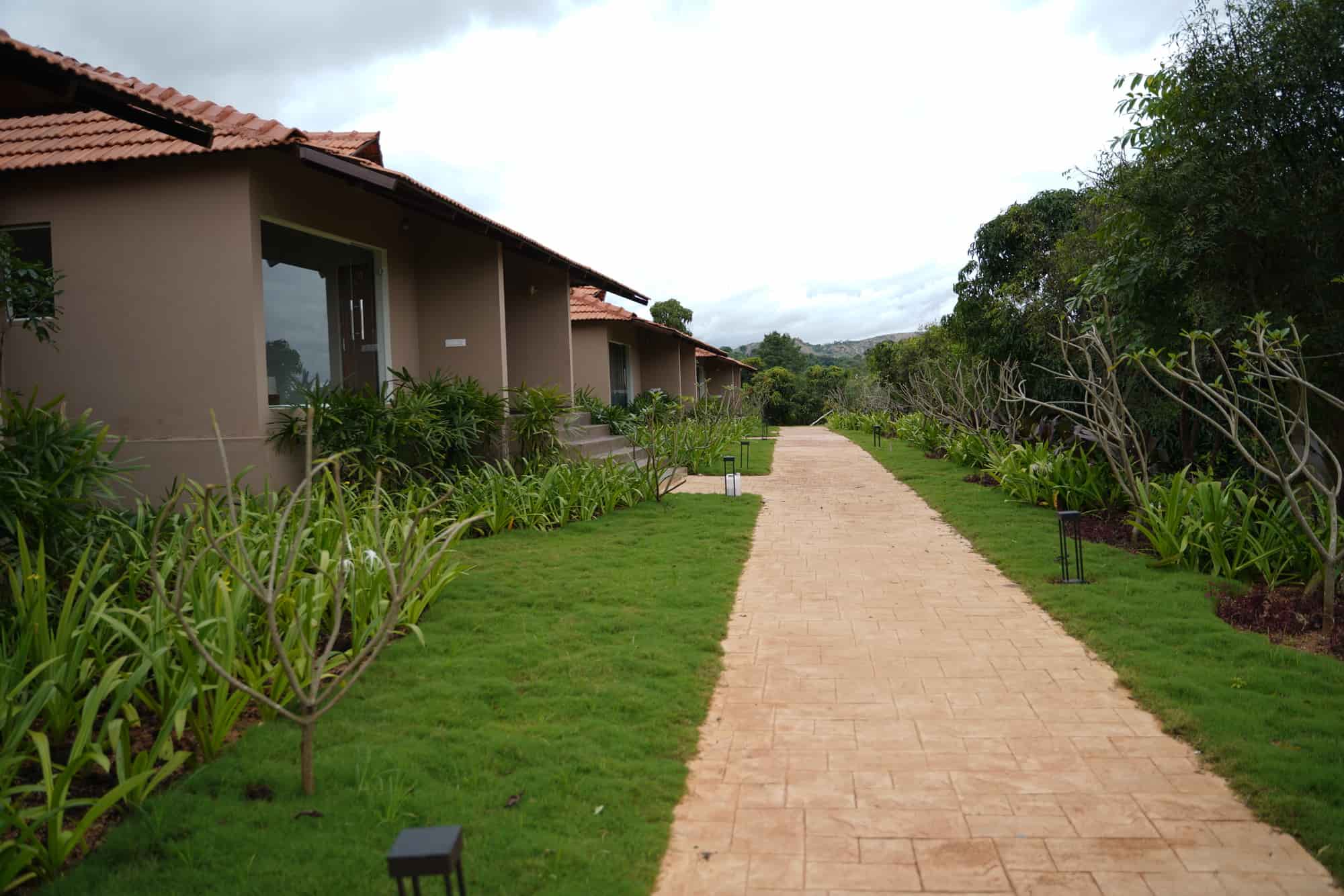 Lawn