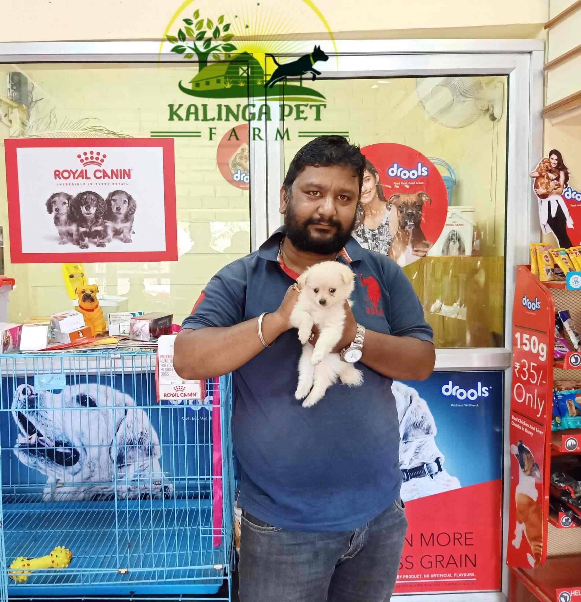 pet stores that sell animals near me