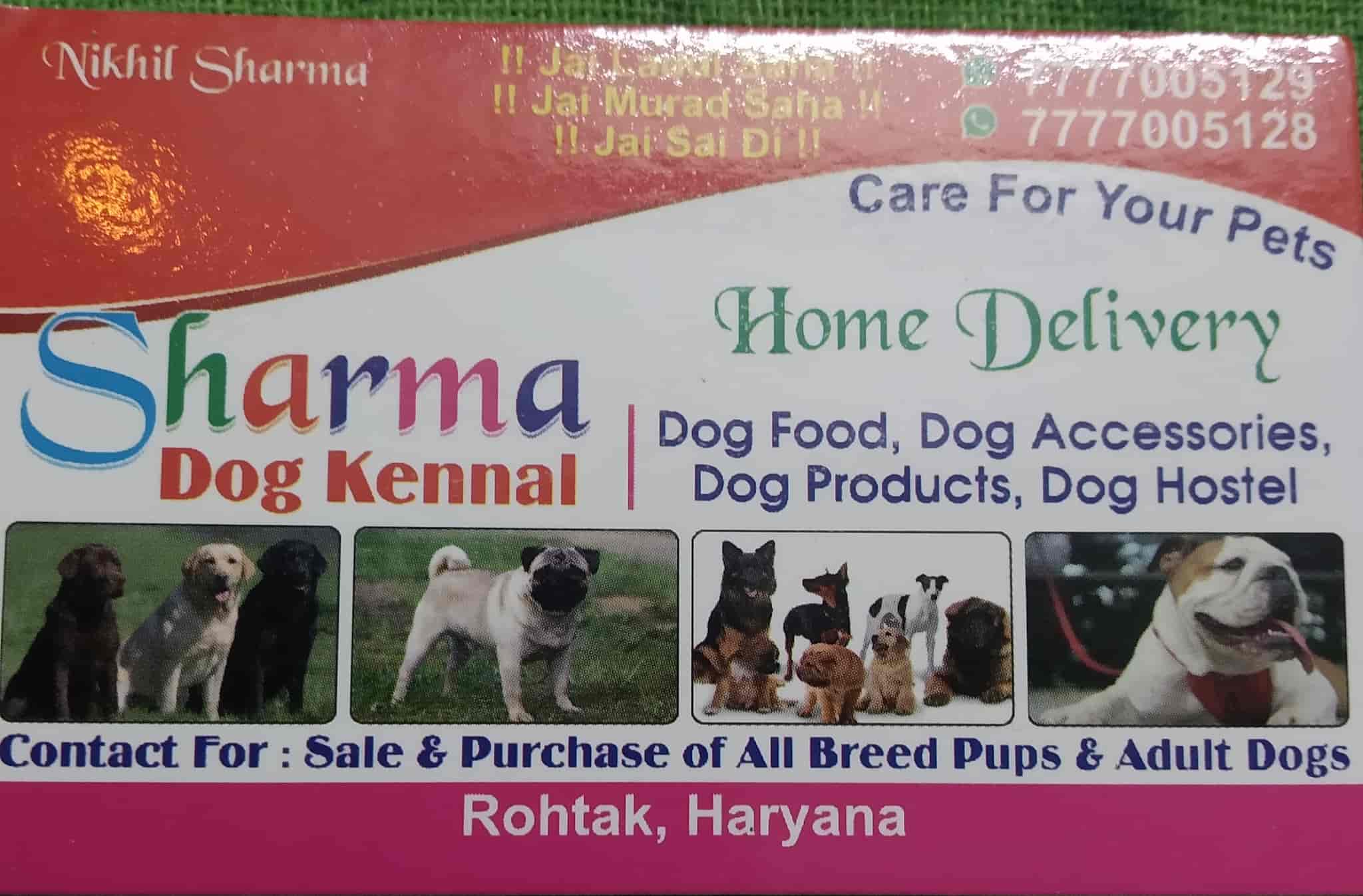 dog farm in haryana