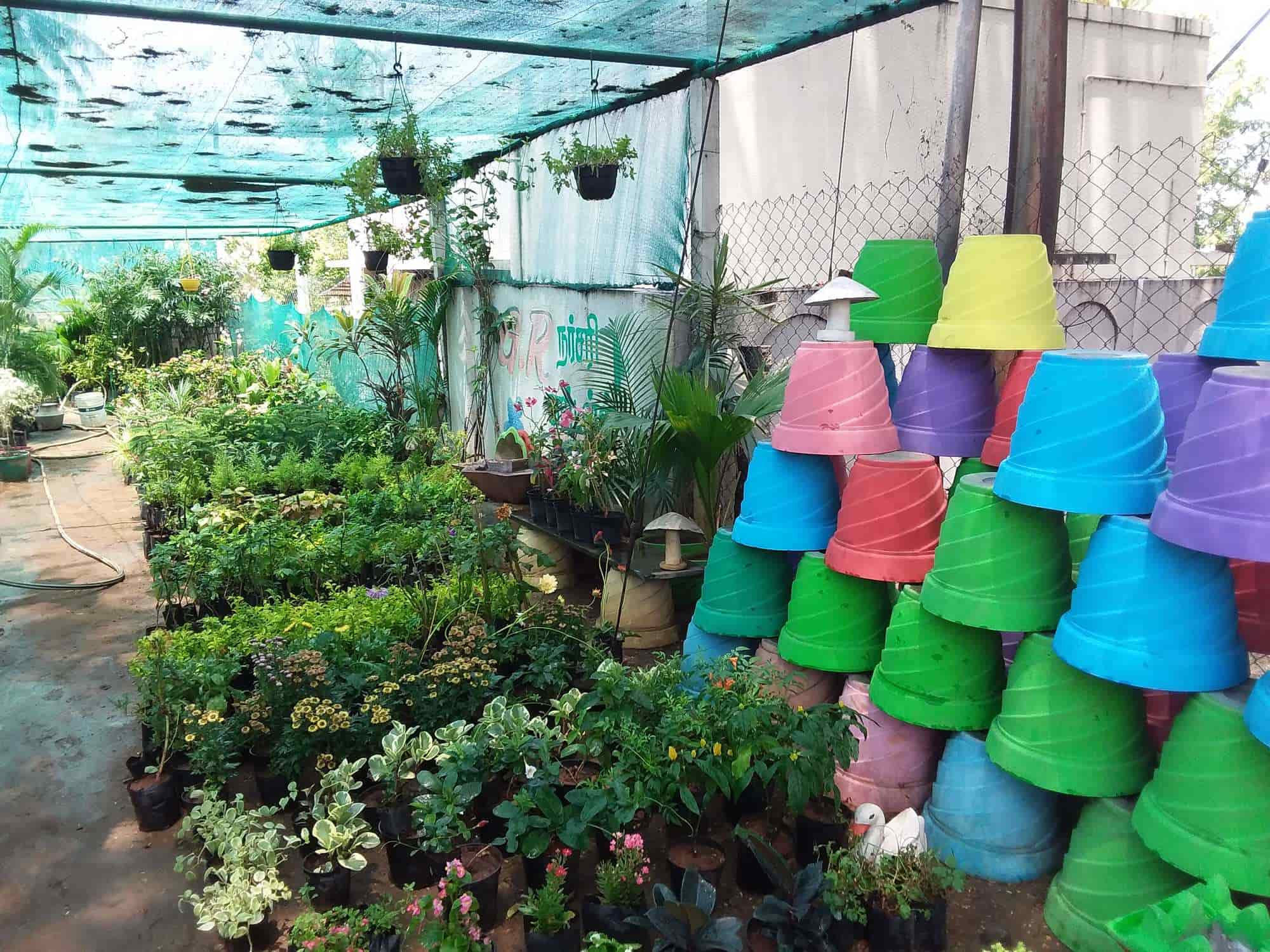 G R Nursery Gardens Photos Odayapatti M Pictures Images G R Nursery Gardens Photos Odayapatti M Plant Nurseries