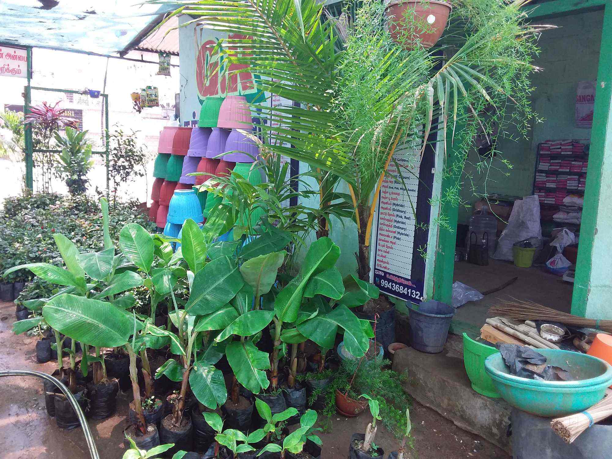 G R Nursery Gardens Photos Odayapatti M Pictures Images G R Nursery Gardens Photos Odayapatti M Plant Nurseries