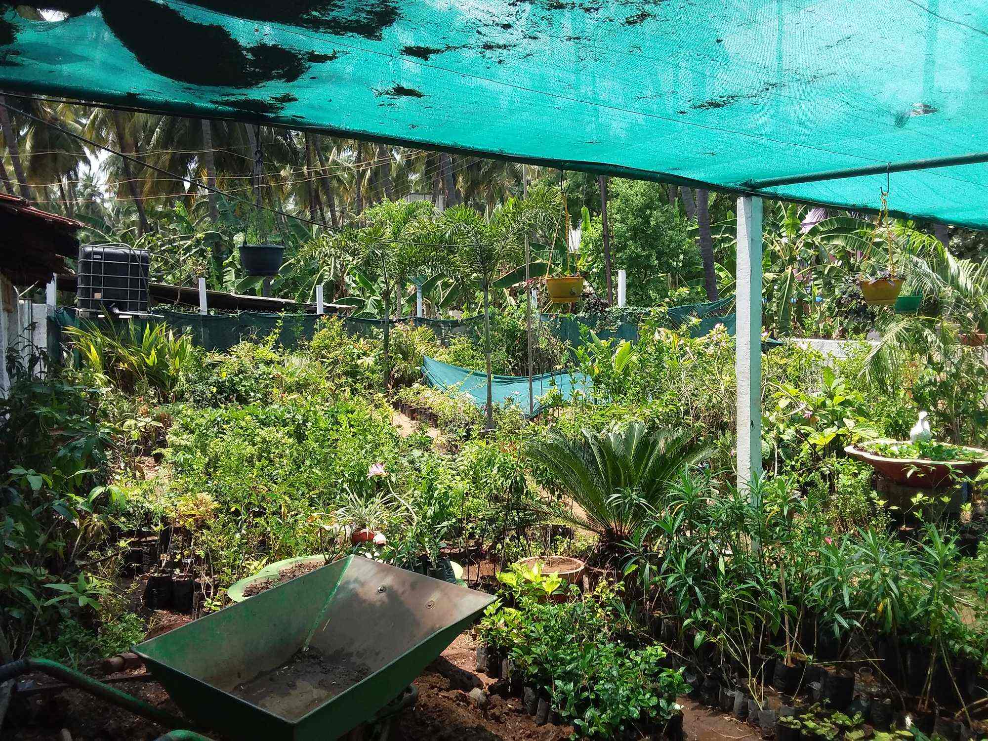 G R Nursery Gardens Photos Odayapatti M Pictures Images G R Nursery Gardens Photos Odayapatti M Plant Nurseries