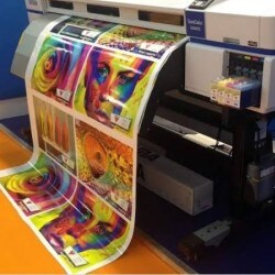 Malar Imaging Solutions in Mount Road 