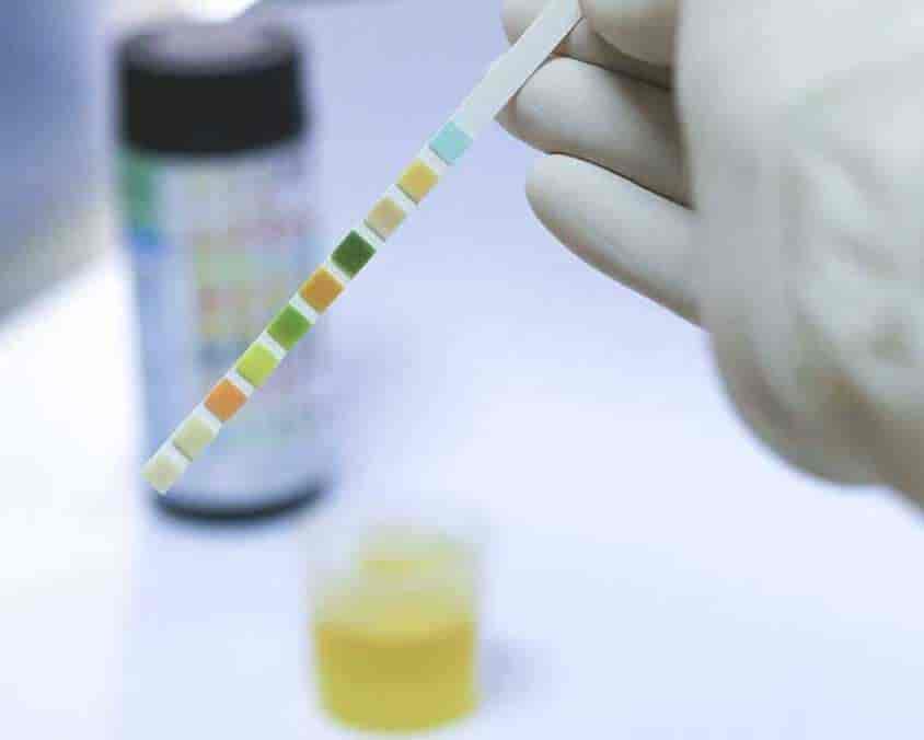 Lab view 5