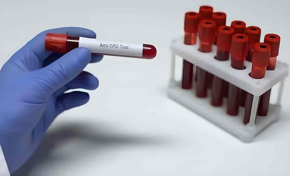 Lab view 8