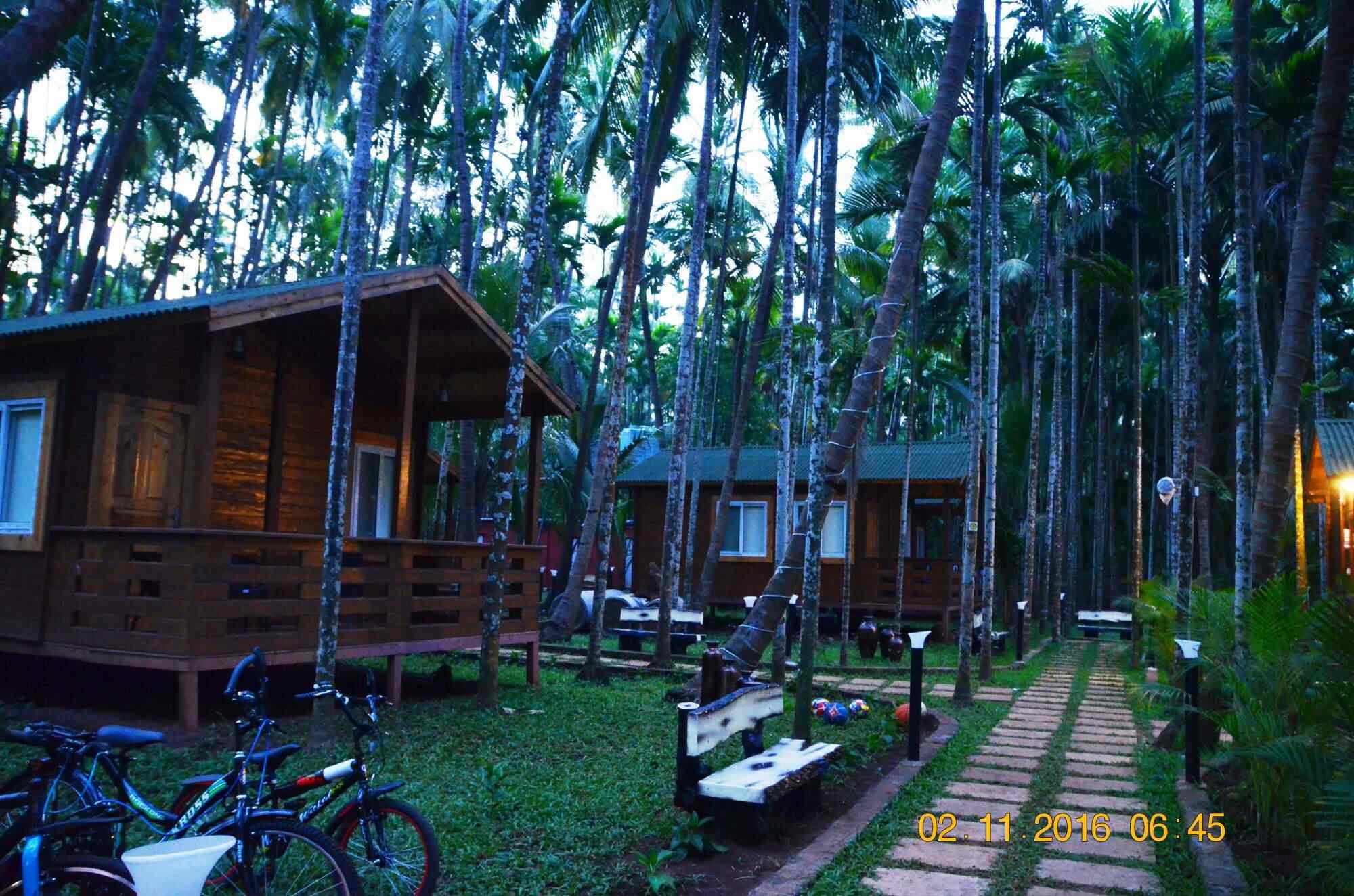 Tranquil Beach Resort Harihareshwar Resorts In Shrivardhan Justdial
