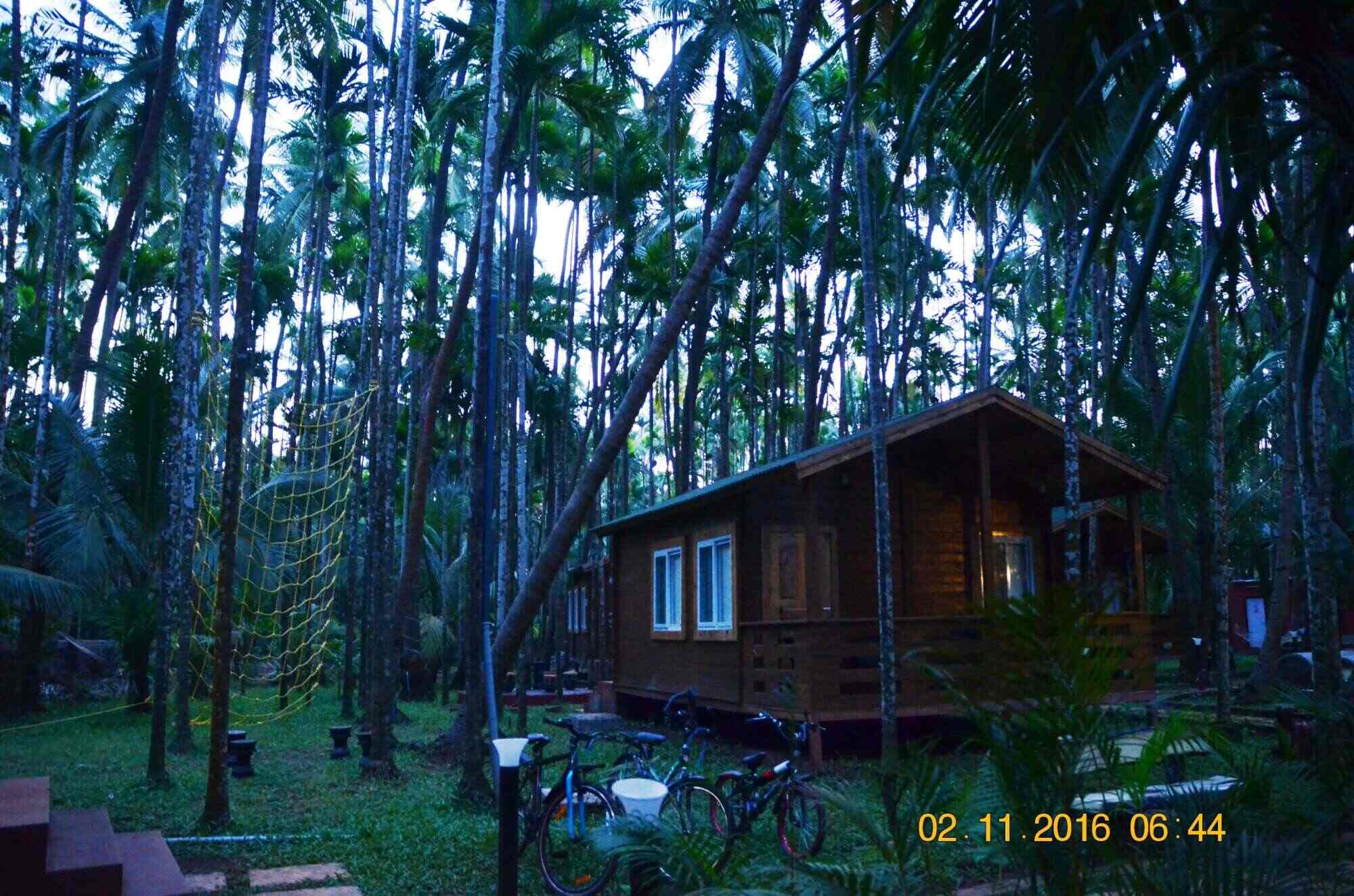 Tranquil Beach Resort Harihareshwar Resorts In Shrivardhan Justdial