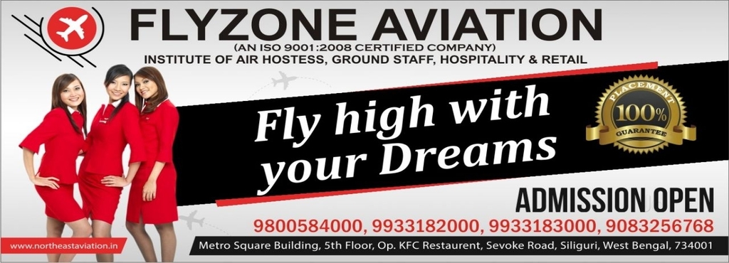 flyzone aviation a unit