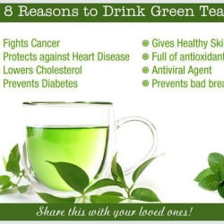 The Tea Cottage New Rangia Tea Manufacturers In Siliguri Justdial