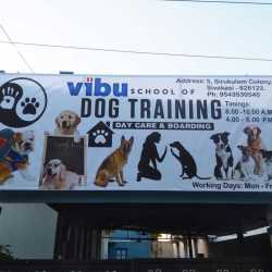 dog training nearby