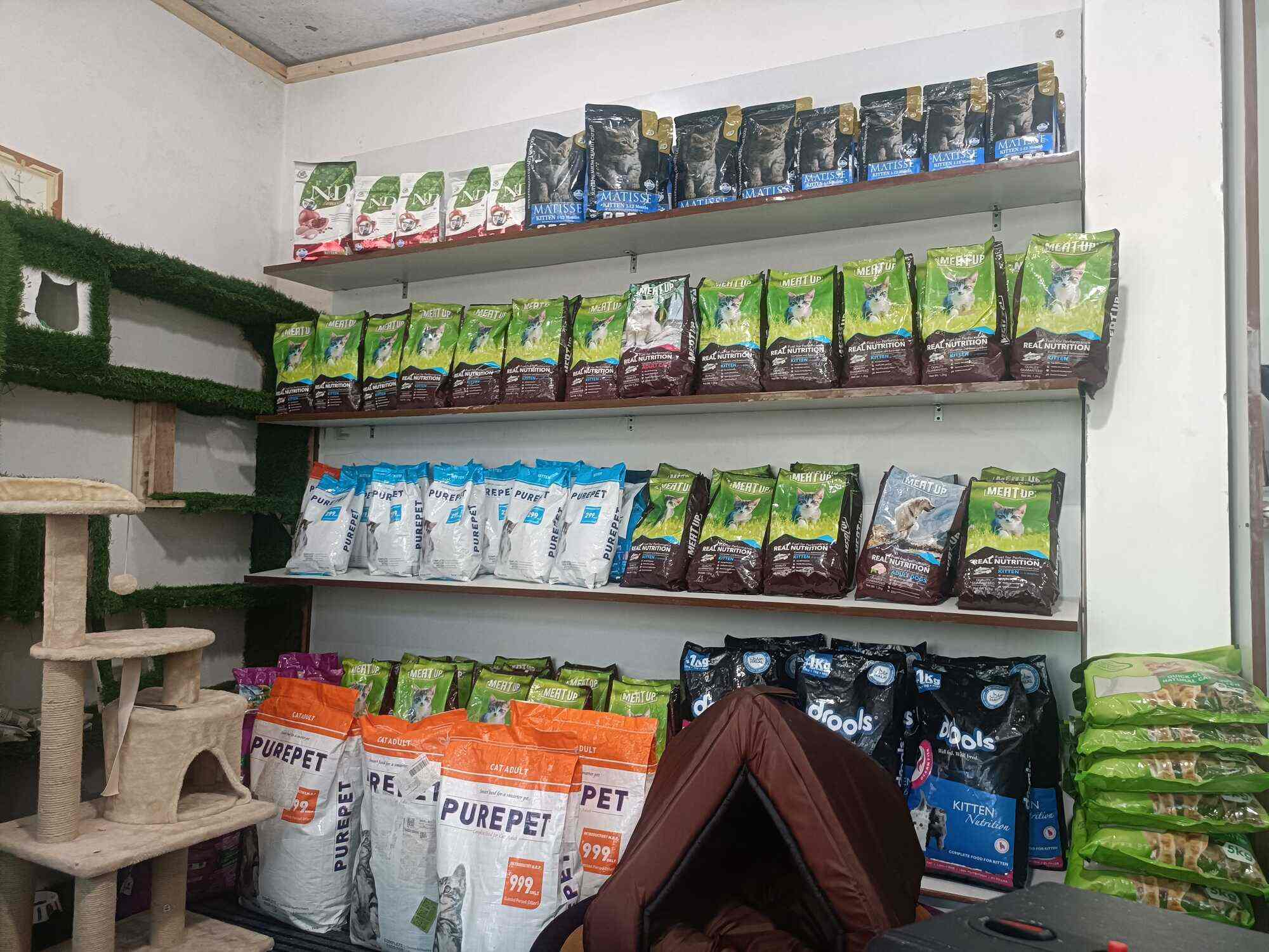 N Paws Khan Market Pet Shop VM Mart Foot Washing Cup, Pet Paw