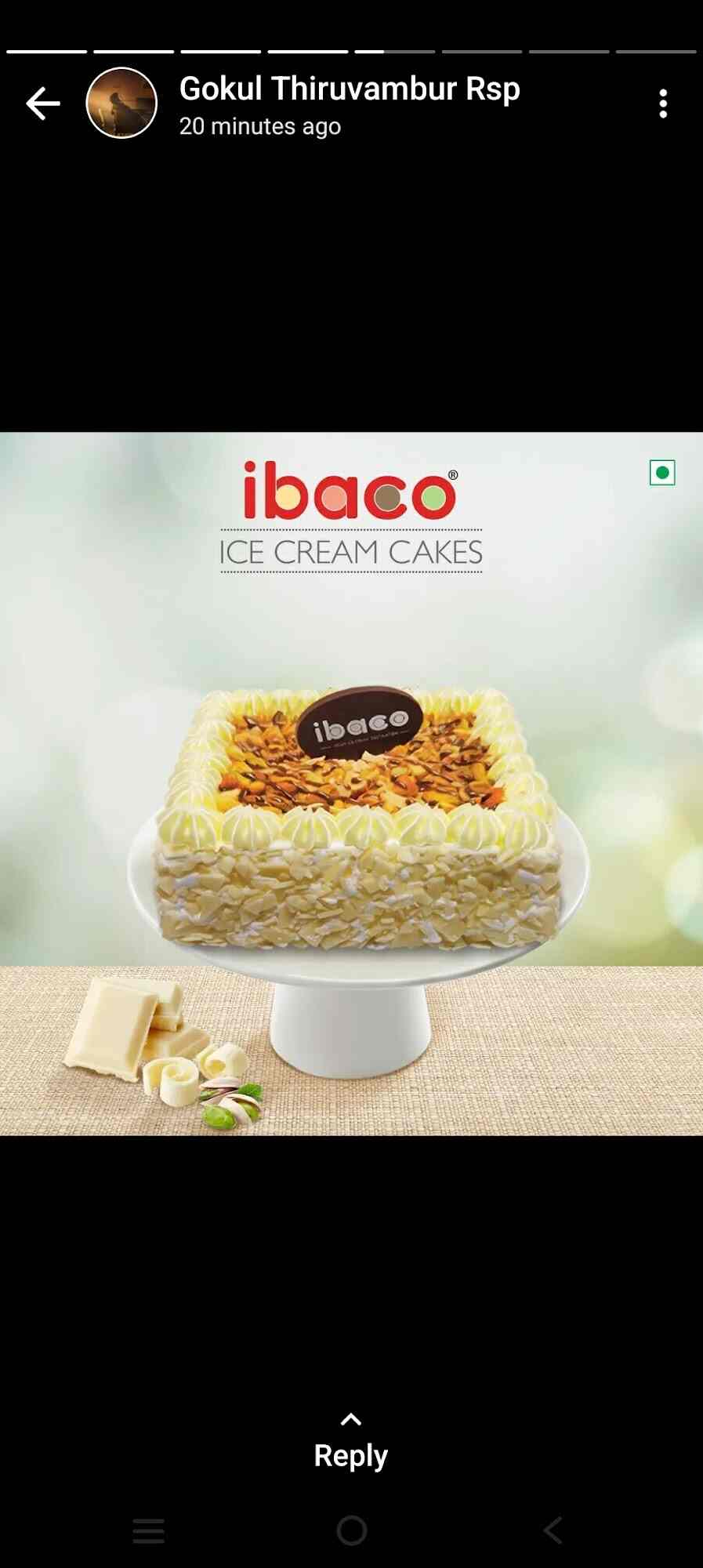 Aggregate 142+ ibaco ice cream cake awesomeenglish.edu.vn