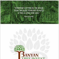 Banyan Tree Invest Citylight Road Estate Agents For Residential