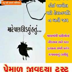 Premal Jivdaya Trust Mota Varachha Helplines For Birds Injury In Surat Justdial