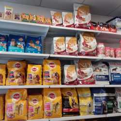 J J Pet Shop, Varachha Road - Pet Shops in Surat - Justdial