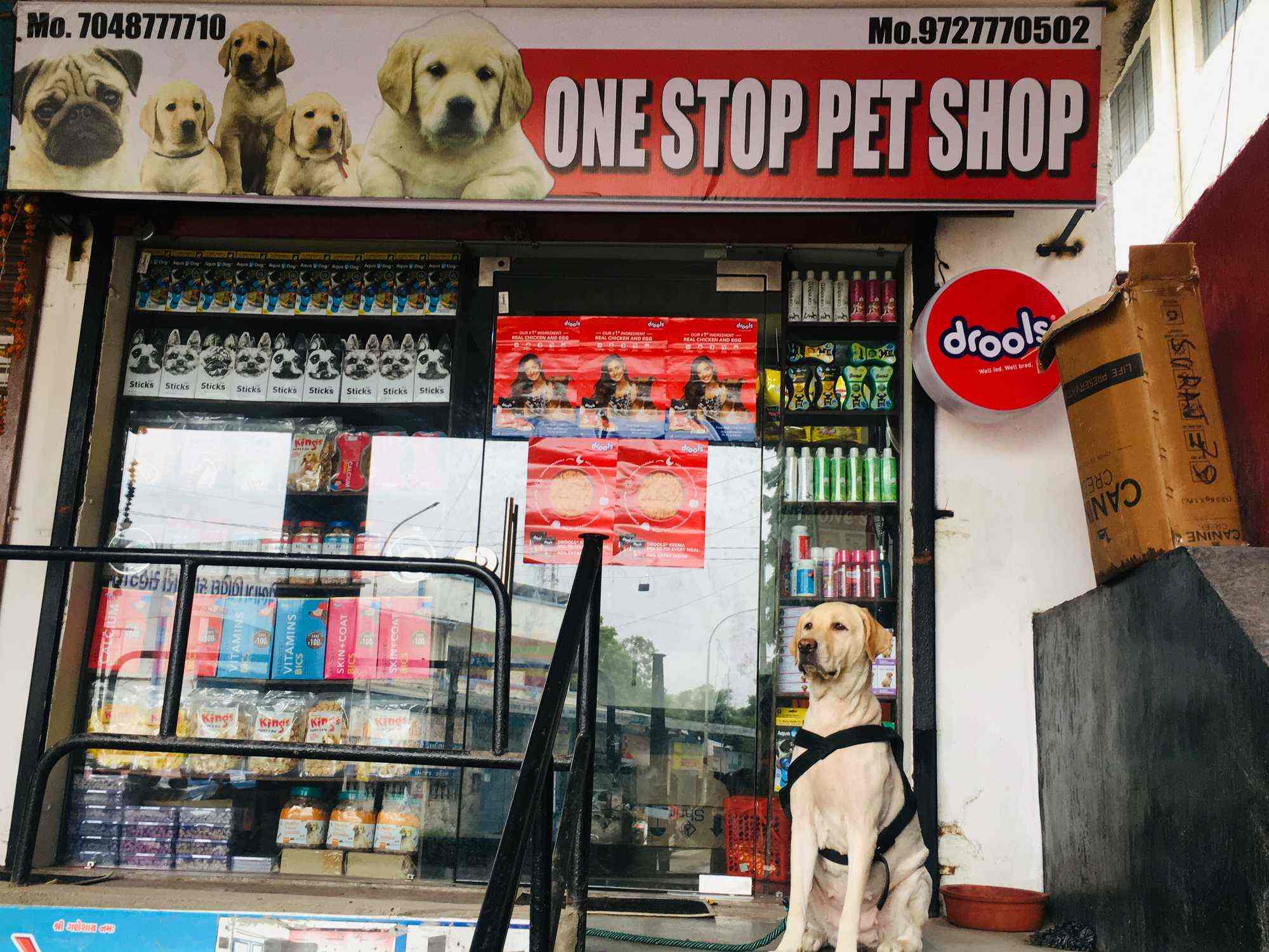 one pet shop