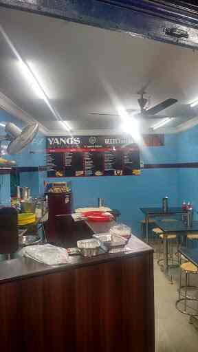 Yangs Kitchen Thiruvanmiyur Chennai Fast Food Justdial