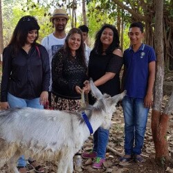 Pet Owners And Animal Lovers Foundation Thane West Ngos In Thane Mumbai Justdial