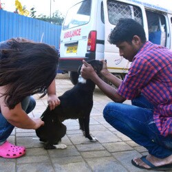 Pet Owners And Animal Lovers Foundation Thane West Ngos In Thane Mumbai Justdial