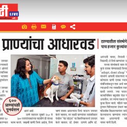 Pet Owners And Animal Lovers Foundation Thane West Ngos In Thane Mumbai Justdial