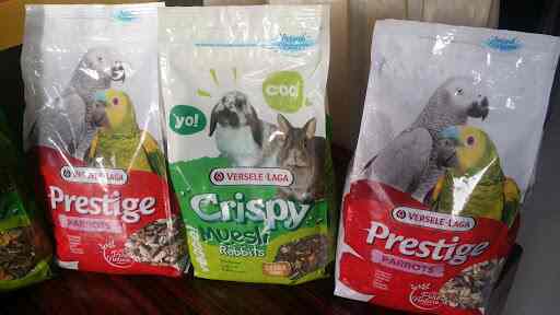 animal hospital in mira road