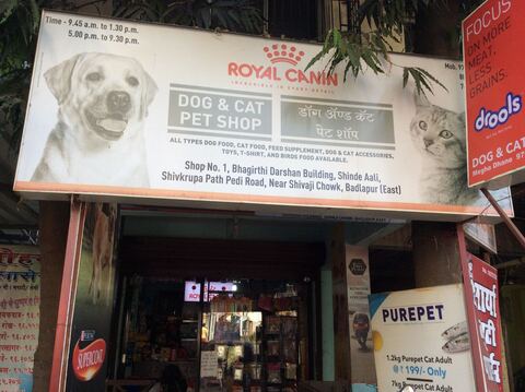 justdial dog shop