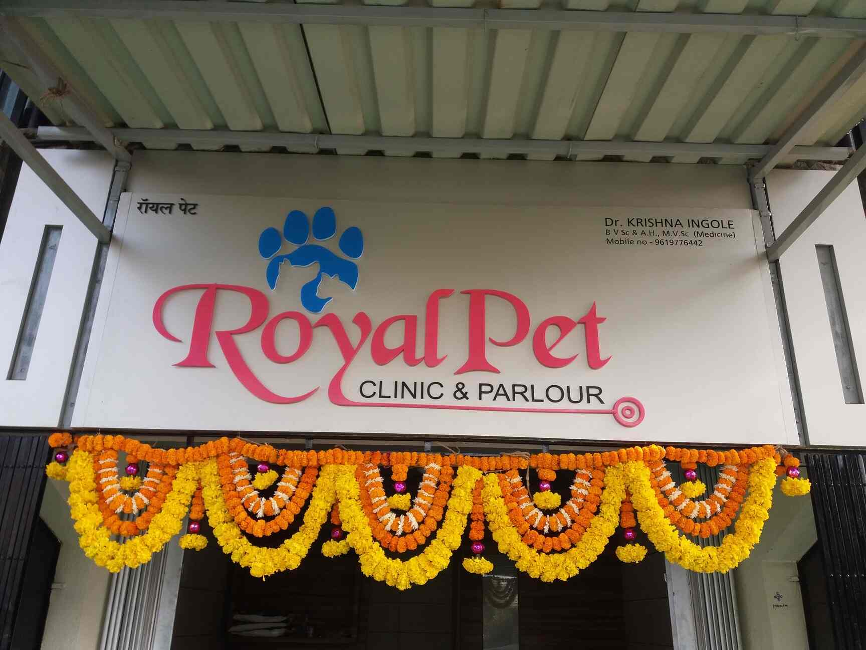 Royal Pet Clinic Parlour Veterinary Doctors Book Appointment