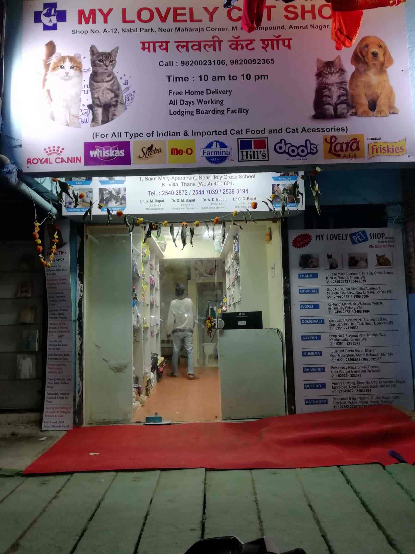 essentials pet carrier