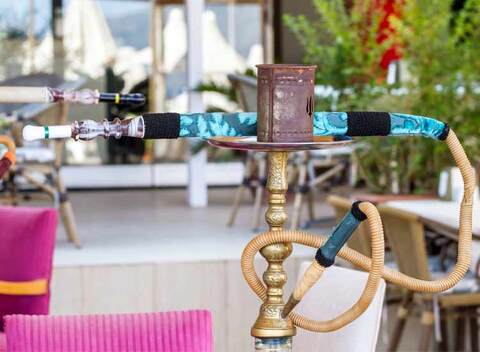 The Vintage Hookah Parlor Closed Down Kalyan West Mumbai North Indian Cuisine Restaurant Justdial Prices of eggs have come down, hitting poultry sales in thane district due to bird flu.