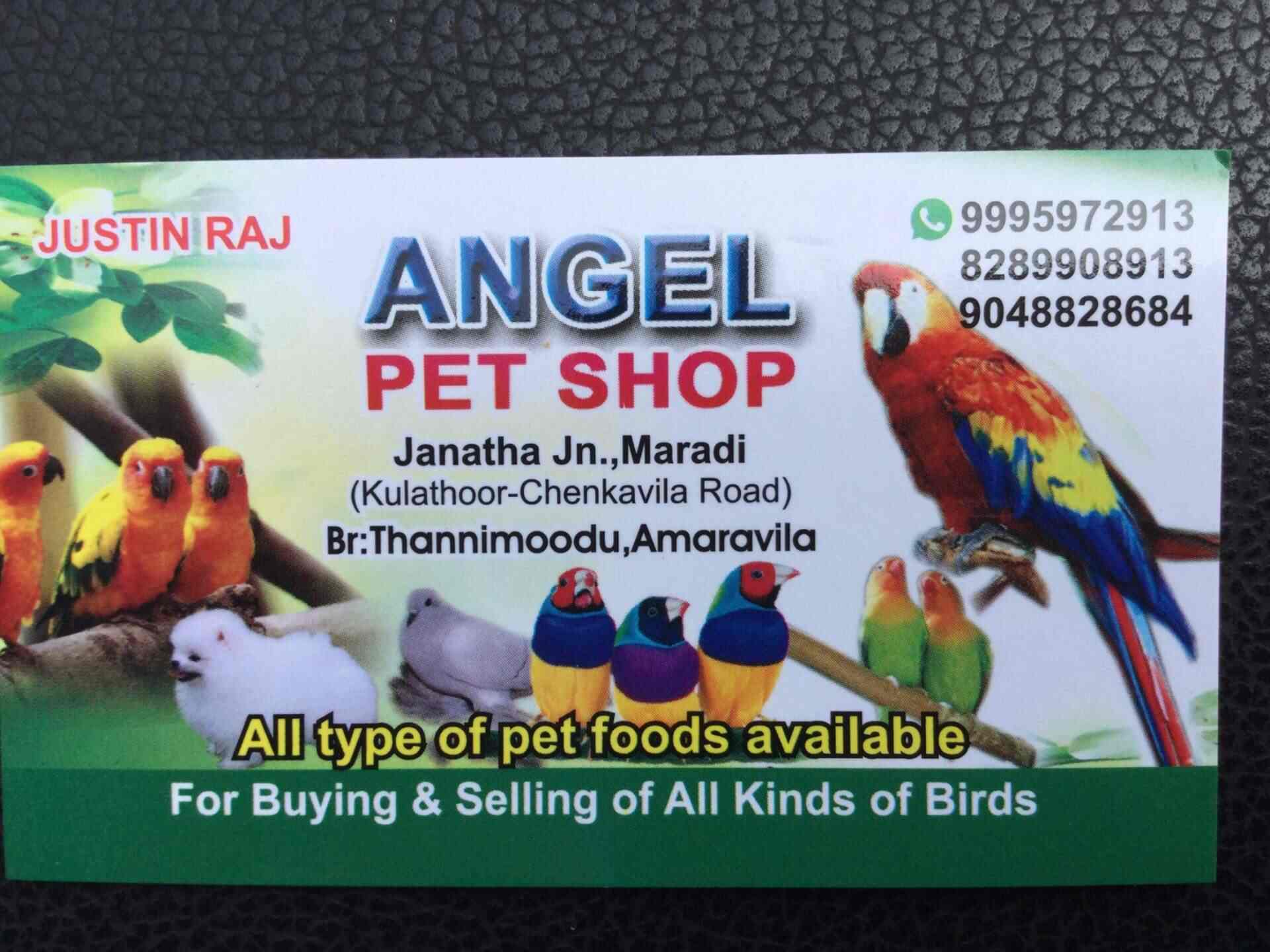 Angel sales pet shop