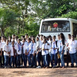 Vismaya Max Animation Academy Studios Sasthamangalam Computer Training Institutes In Thiruvananthapuram Justdial