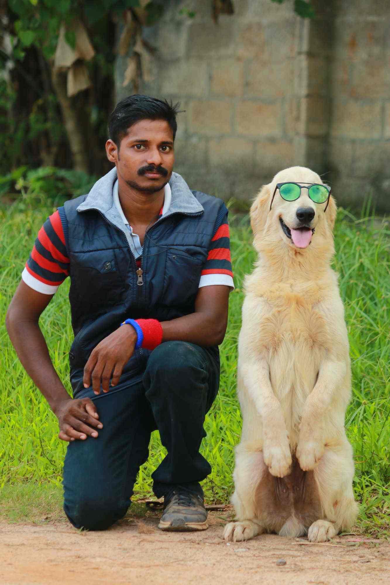 enforce k9 training school