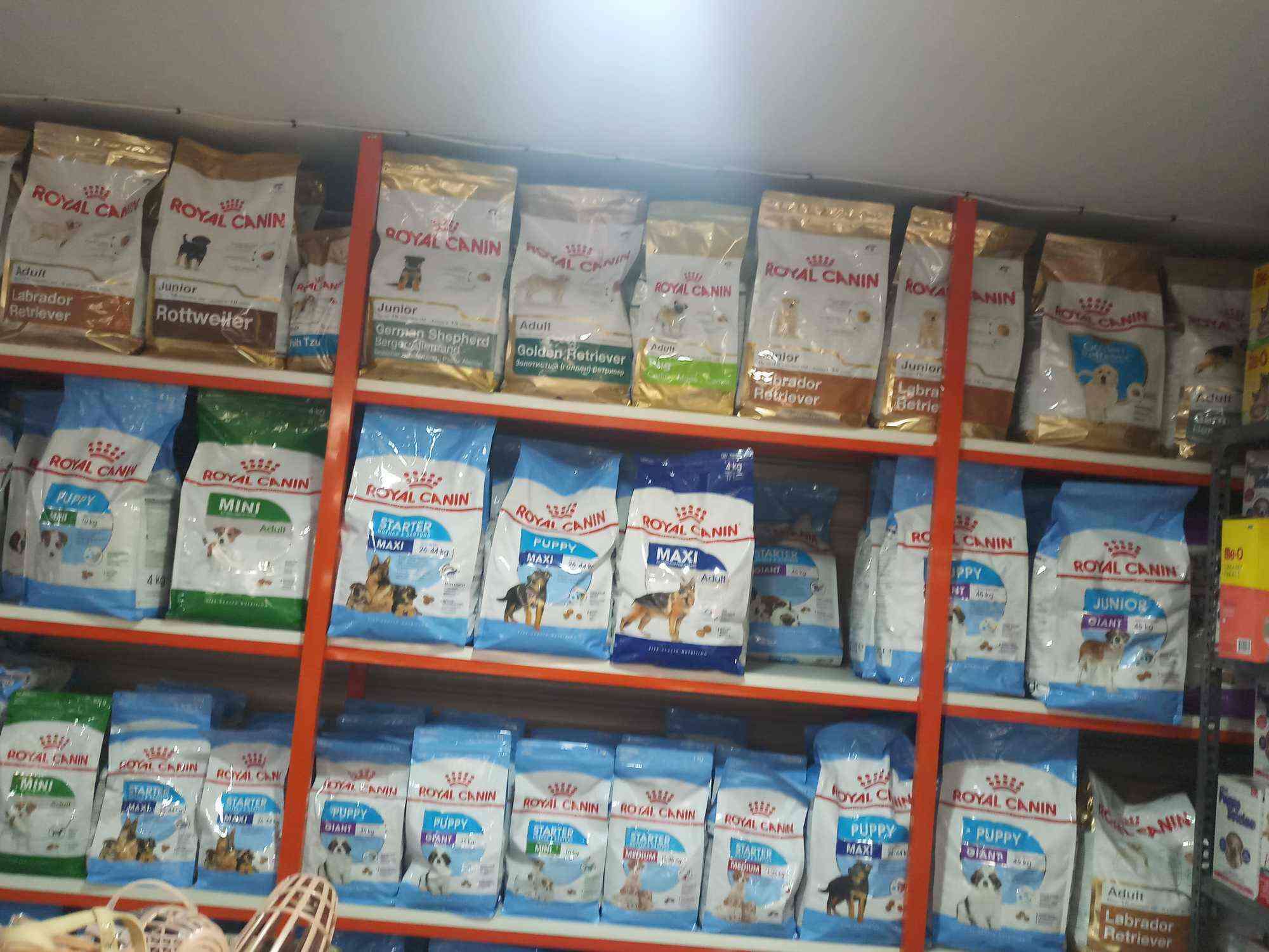 Pet Me Veterinary Medicals, PMG Junction - Pet Shops in Thiruvananthapuram  - Justdial
