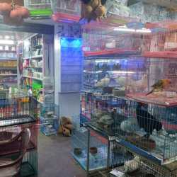 sn pet world