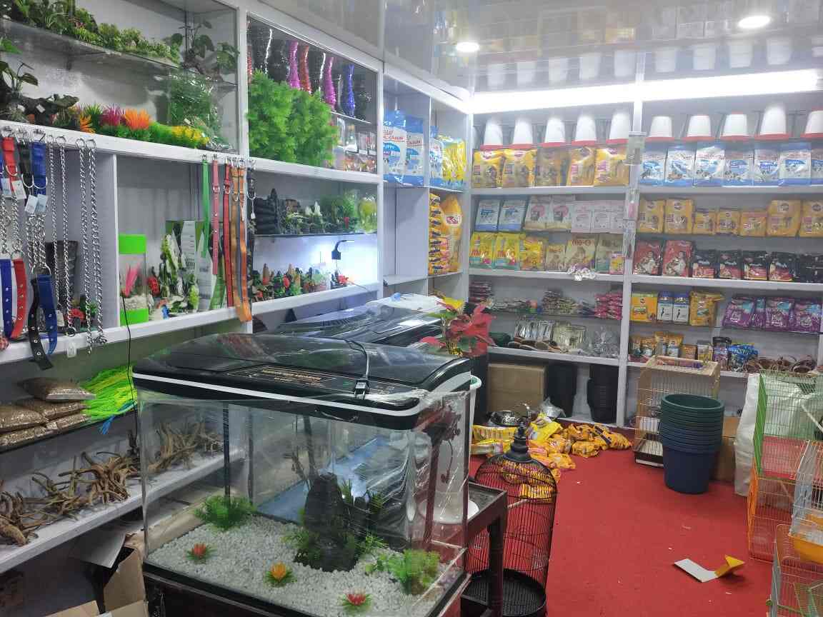 sn pet world