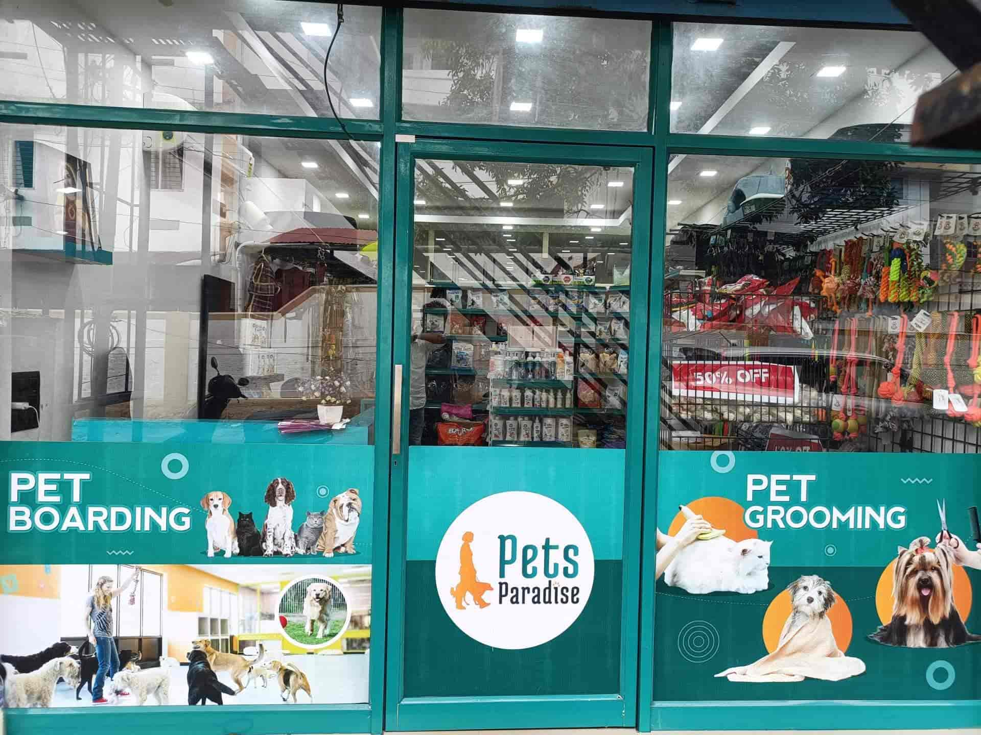 Are Dogs Allowed In Pet Shops