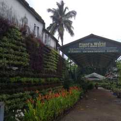 Plant S World Nursery Mannuthy Nurseries In Plant S World Nursery Mannuthy Nurseries In