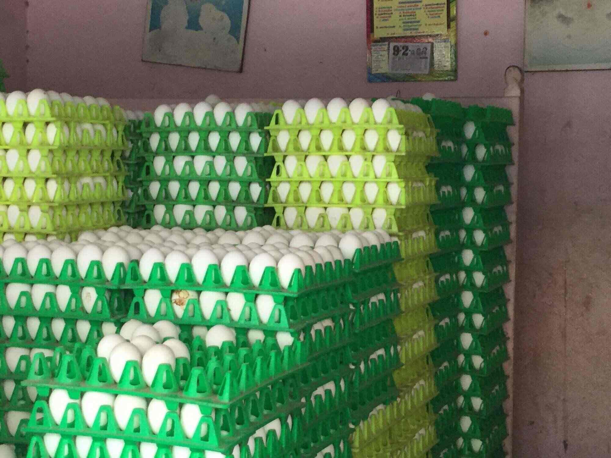 Anandha Egg Shop Palayamkottai Egg Wholesalers In Tirunelveli Justdial