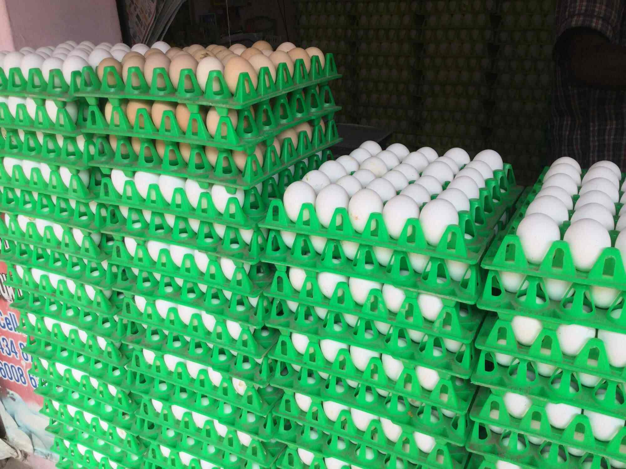 Anandha Egg Shop Palayamkottai Egg Wholesalers In Tirunelveli Justdial